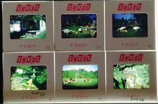Vintage 1963 35mm Slides Rural Farm Swans Cows Chickens Lot of 6 #22103