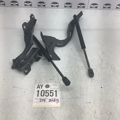 2012 - 2017 Ford Expedition Hood Hinge LH-RH OEM Gray -J7 Foto 1 de 3