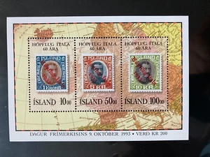 Island 1993 Block Tag der Briefmarke postfrisch - Bild 1 von 1