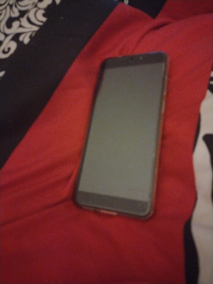  Новый получил для моей внучки, но ей это не нравится, но на нем есть клещ - Изображение 1 из 2