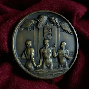 Placa medalla de bronce antigua pájaro buitre arte gay niño desnudo hombre músculo natación 1932 - Imagen 1 de 7