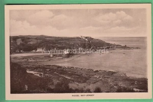 🌞CAMISETA ROZEL BAY: FOTO REAL😊COMPRA 2 OBTÉN 1 GRATIS - Imagen 1 de 1