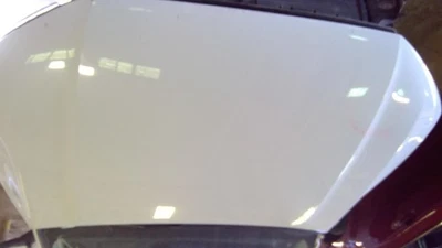 (LOCAL PICKUP ONLY) Hood Fits 17-23 AUDI Q7 1517532 Foto 1 de 4