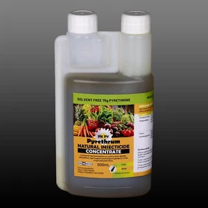 Pyrethrum Concentrate -75g Pyrethrins (Solvent Free) Bottle 500mL - Picture 1 of 2