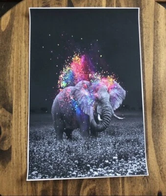 Impresión artística en lienzo de elefante Foto 1 de 2