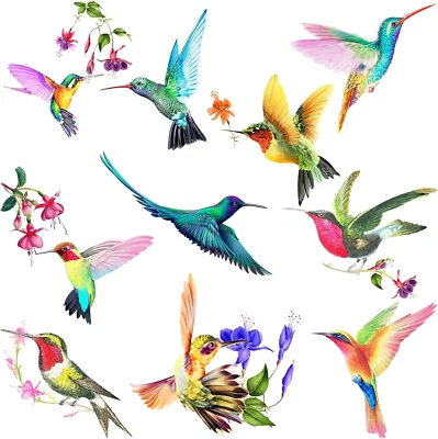 20 Pieces Large Size Hummingbird Window Hummingbird Decals for Window Anti-Colli - Image 1 of 4