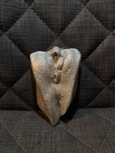 Vagina Gipsabdruck OriginalAbdruck Silber Vulva IntimabdruckDekoration Kunst - Bild 1 von 3