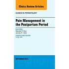 Pain Management in the Postpartum Period, An Issue of  - Hardback NEW Flick, Ra