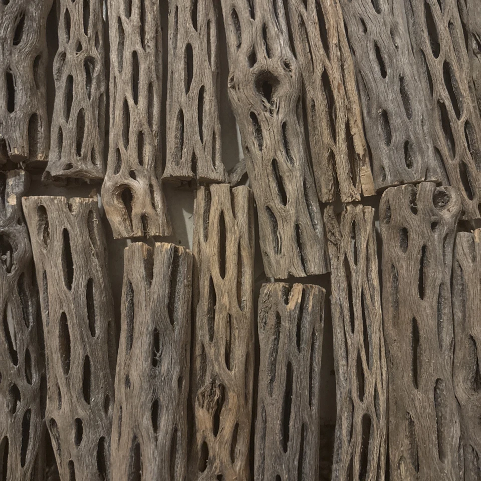 10 libras (aprox. 170 piezas) 6” piezas de madera Cholla prelimpiada | acuario Foto 1 de 2