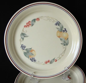 Vintage Corelle ABUNDANCE Set Of 6 Luncheon Plates 8.5" Very Good Condition - Picture 1 of 3