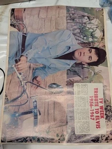 Elvis Presley- Elvis  Poster TV Week   42x 60 cm - Bild 1 von 2