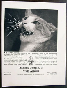 Insurance Company of North America The Cat's Whisker's ad Fortune Dec 1936 - Picture 1 of 2