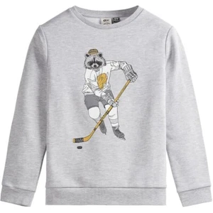 Niñas Niños Niños Jersey Edad 12 Gris Imagen Orgánica Lakin Crew PVP £55 Mapache - Imagen 1 de 3