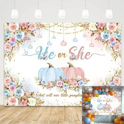 Telón de fondo de revelación de género de calabaza él o ella lo que será nuestra pequeña calabaza Foto 1 de 4