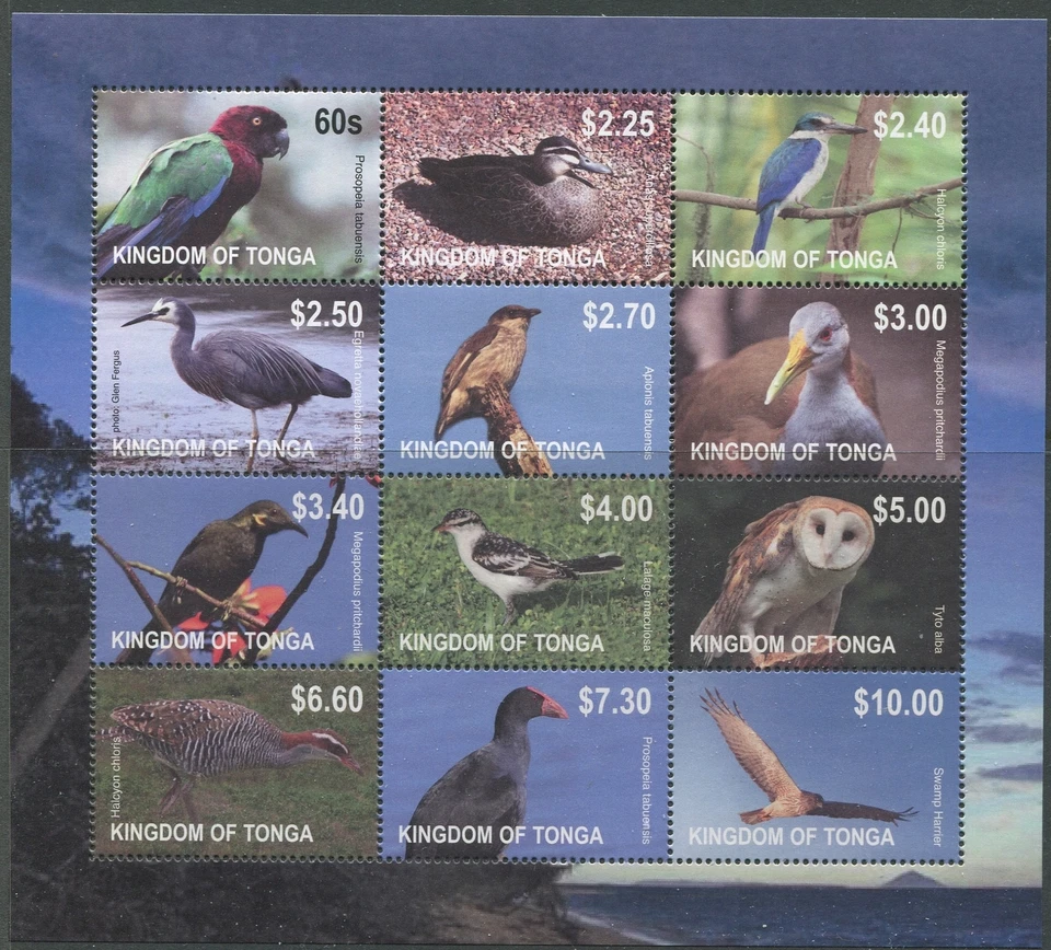 Tonga 2012 SG1636 Birds MS MNH Foto 1 de 1