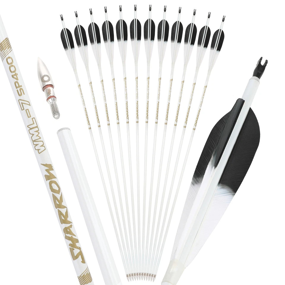 6/12 X 32'' Archery Pure Carbon Arrow 5'' Feather SP400-800 Bow Hunting Shooting - Image 1 of 4