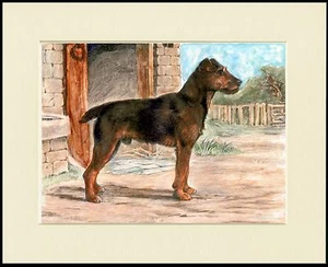 WELSH TERRIER LOVELY DOG PRINT MOUNTED READY TO FRAME - Picture 1 of 1