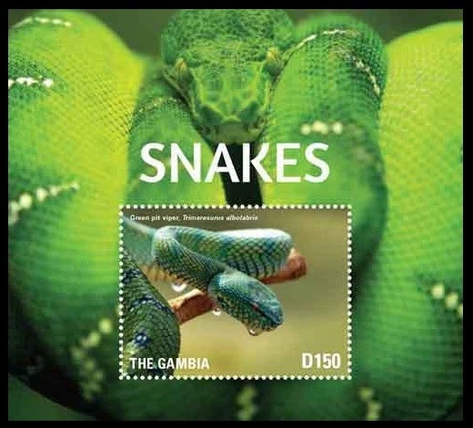 Green Pit Viper, Snakes, Reptiles, Gambia 2015 MNH MS  - Image 1 of 1