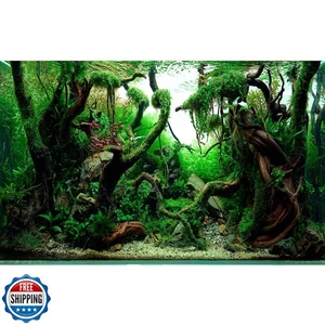 Acquario d'acqua dolce sfondo stile giungla paesaggio acquatico microsorum tridente vari - Foto 1 di 5