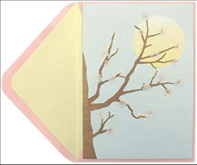 Papyrus Cherry Blossom Blank Card - Image 1 of 1