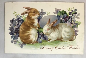 Raphael Tuck Easter Rabbits Bunnies Brown White Red Eyes Violets Egg Unused C2 - Picture 1 of 2
