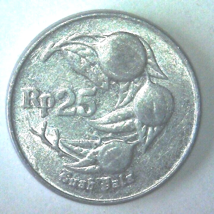 1994 Indonesia 25 Rupiah, World Coin KM#55 VF+ Nutmeg Aluminum Asian - Image 1 of 4