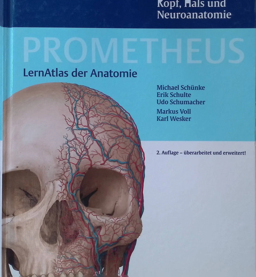 Prometheus: LernAtlas der Anatomie; Teil: Kopf, Hals und Neuroanatomie : 2248641 - Bild 1 von 1