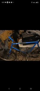 Schwinn Sierra 1987 3140 Chomoly Mountain Bike Men Large XL 20.5" Hardtail Araya - Picture 1 of 2