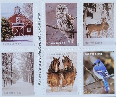 头等舱“冬季场景”美国邮政邮票-20本全新邮票 — 第 1/3 张图片