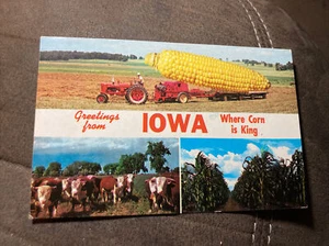 Postal multiveview de Iowa Where Corn is King Exageration sin publicar - Imagen 1 de 2