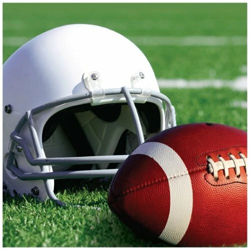 Creative Converting 666340 18 Count Lunch Napkins, Gridiron Action, Green/Brown - Image 1 of 1