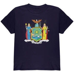 Born and Raised New York State Flag Youth T Shirt - Picture 1 of 1
