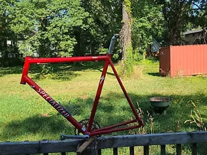 Specialized S Direct Drive  M2 Metal Matrix  Comp  Frame From USA  24" - Picture 1 of 19