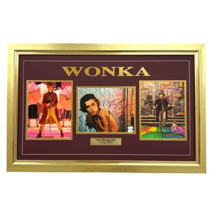 Timothee Chalamet Autographed 8x10 Photo Willy Wonka Framed JSA Signed Timothy - Picture 1 of 8