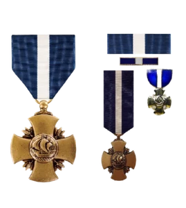 MEDALLA PREMIO PERSONAL MILITAR DE EE. UU. COMPLETA/MINI CINTA VETERANO PIN UP REGALO EE. UU. WOW - Imagen 1 de 22