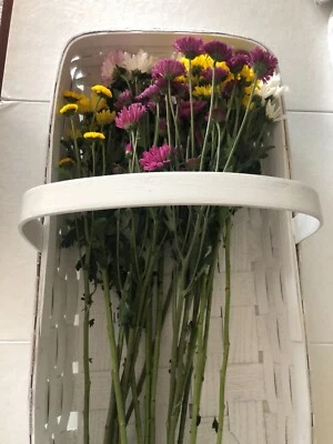 Bride Basket White L 24.75"X W 13.5"x3.5" Deep. Wood Slats Painted White. - Image 1 of 4