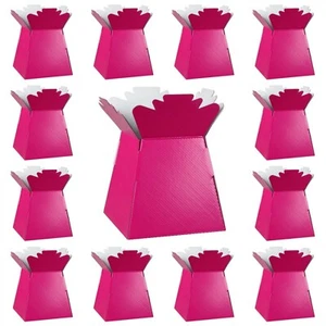FUCHSIA PINK Living Vases Florist Bouquet Box Flower Plant Aqua Sweet Boxes UK - Picture 1 of 1