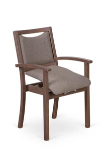 2Liftu Classic - Standing Up Auxiliary Chair | Standing Up Armchair - Picture 1 of 14