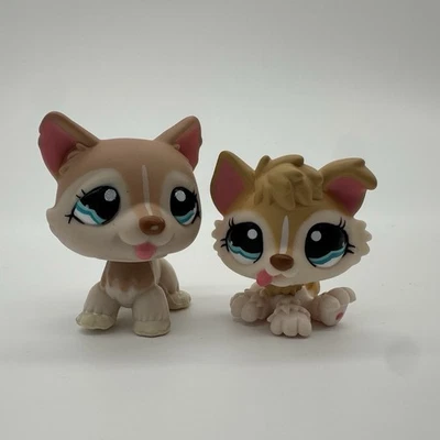 Littlest Pet Shop LPS Husky Perro Cachorro Mamá Bebé #1012 #1013 Tostado Blanco Ojos Azules Foto 1 de 4