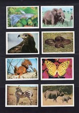 FKS STICKERS THE WONDERFUL WORLD OF ANIMALS 1970 x8