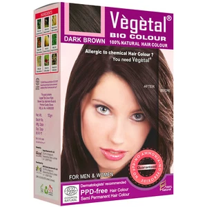 Bio Hair Colour Dark Brown 50gm Herbal Dye Certified Organic Full Kit Vegetal - Bild 1 von 7
