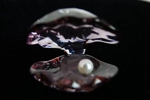 Swarovski Pearl Oyster Antique Pink (5035512 - Picture 1 of 5