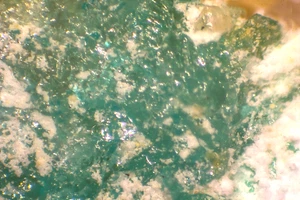 Krohnkite (Type Locality): Chuquicamata Mine, Antofagasta, Chile-Micromount - Picture 1 of 3