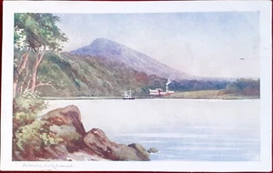 1905 COLOUR PRINT PC of BALMAHA, LOCH LOMOND, POSTED - Picture 1 of 2