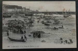 Undated France Postcard-Cancale-The Sorting of Oysters Unused - Picture 1 of 2