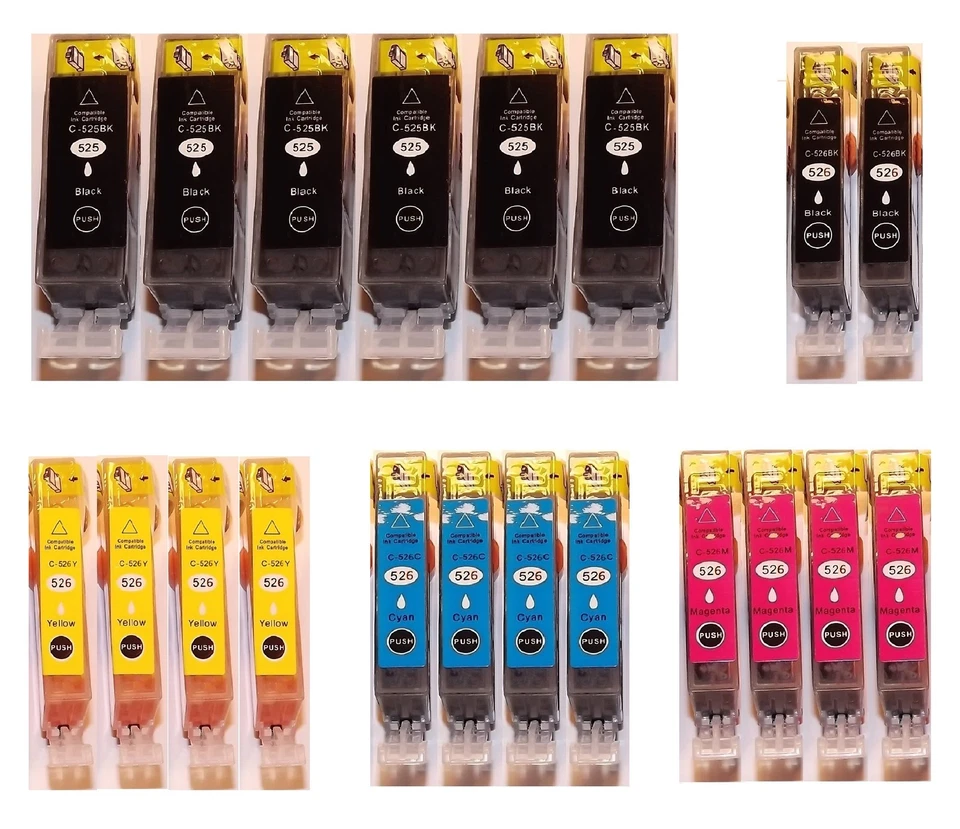 20 Druckerpatronen für Canon IP4800 IP4900 IP4950 MG5150 MG5250 MG5350 MG8150 - Bild 1 von 1