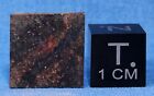 1.45 gram Lost Creek Meteorite Slice - Chondrite H3.8 - Found 1916 in Kansas