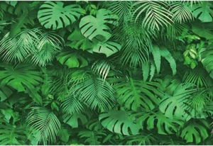 Yeele 10x8ft Jungle Green Leaves Backdrop for Photography Tropical Green New W-3 - Picture 1 of 5