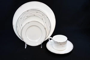 Royal Doulton PRECIOUS PLATINUM China 5 Piece Place Setting (LMN) - Picture 1 of 11