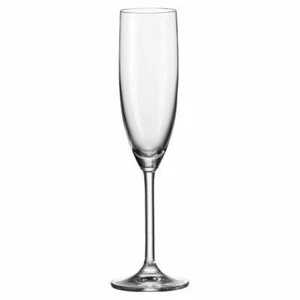 Leonardo Daily Sektglas Champagnerglas Proseccoglas Glas 210 ml 63314 - Bild 1 von 6
